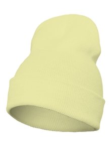 Beanies - the - at Super Store Flexfit/Yupoong
